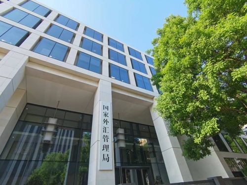 國家外匯局發布通知擴大跨境貿易投資高水平開放試點